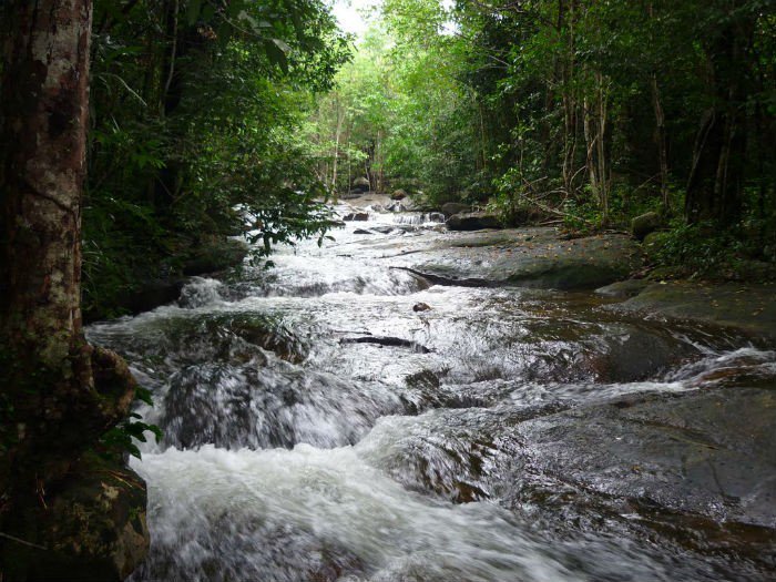 Suối Tranh Phú Quốc