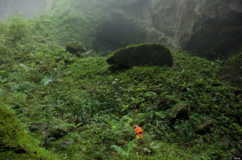 Hang Sơn Đoòng sở hữu hệ sinh thái đặc biệt, không có dấu vết của con người.