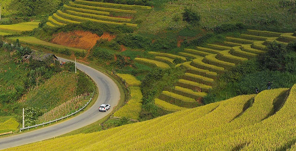 Kinh nghiệm chinh phục đèo Khau Phạ an toàn