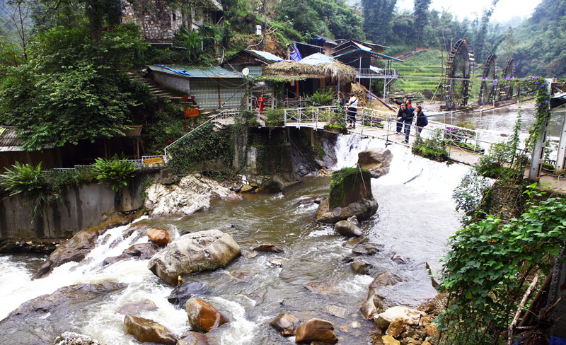 Ban cat cat du lich sapa