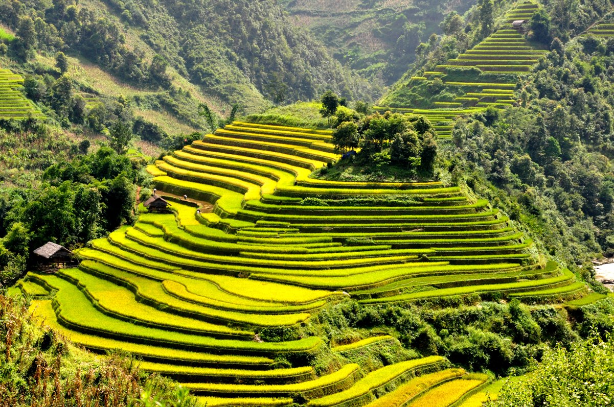 Ruong bac thang Sapa