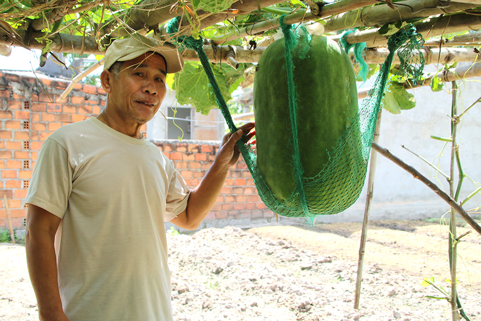 Làng Bí Đao Khổng Lồ