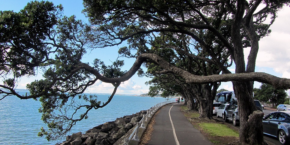 Tamaki Waterfront Drive