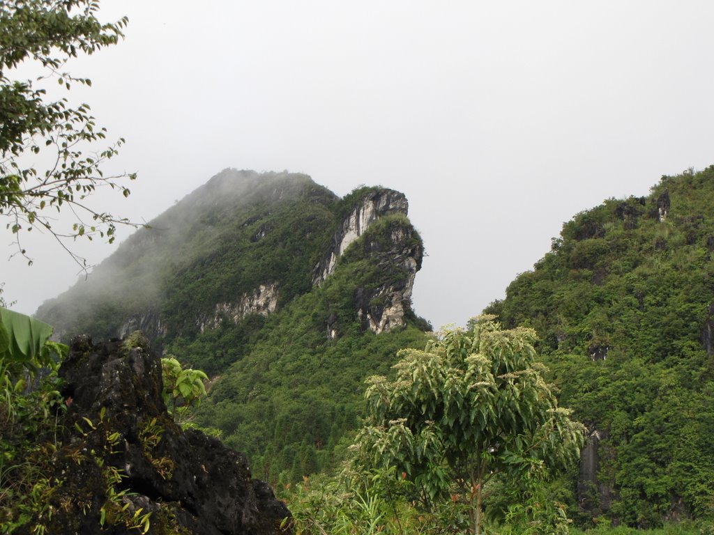 Đỉnh núi Hàm Rồng