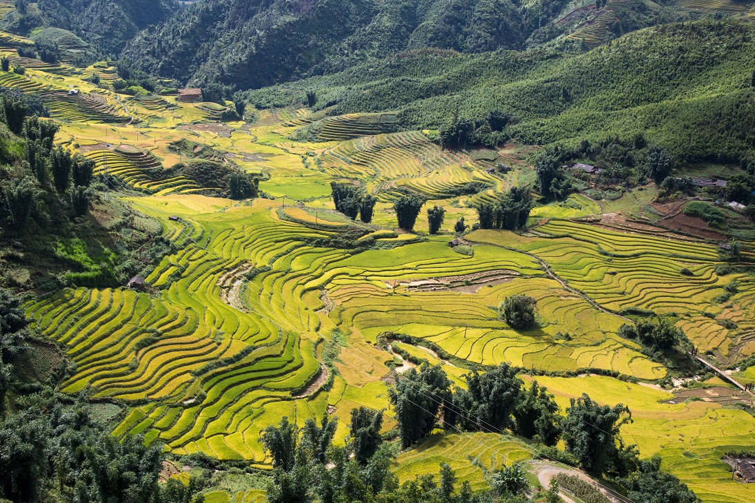 Thung lũng Mường Hoa