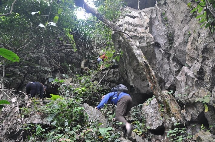 Vườn quốc gia Cát Bà