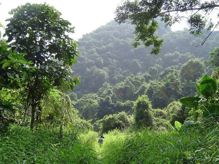 Vườn quốc gia Cát Bà