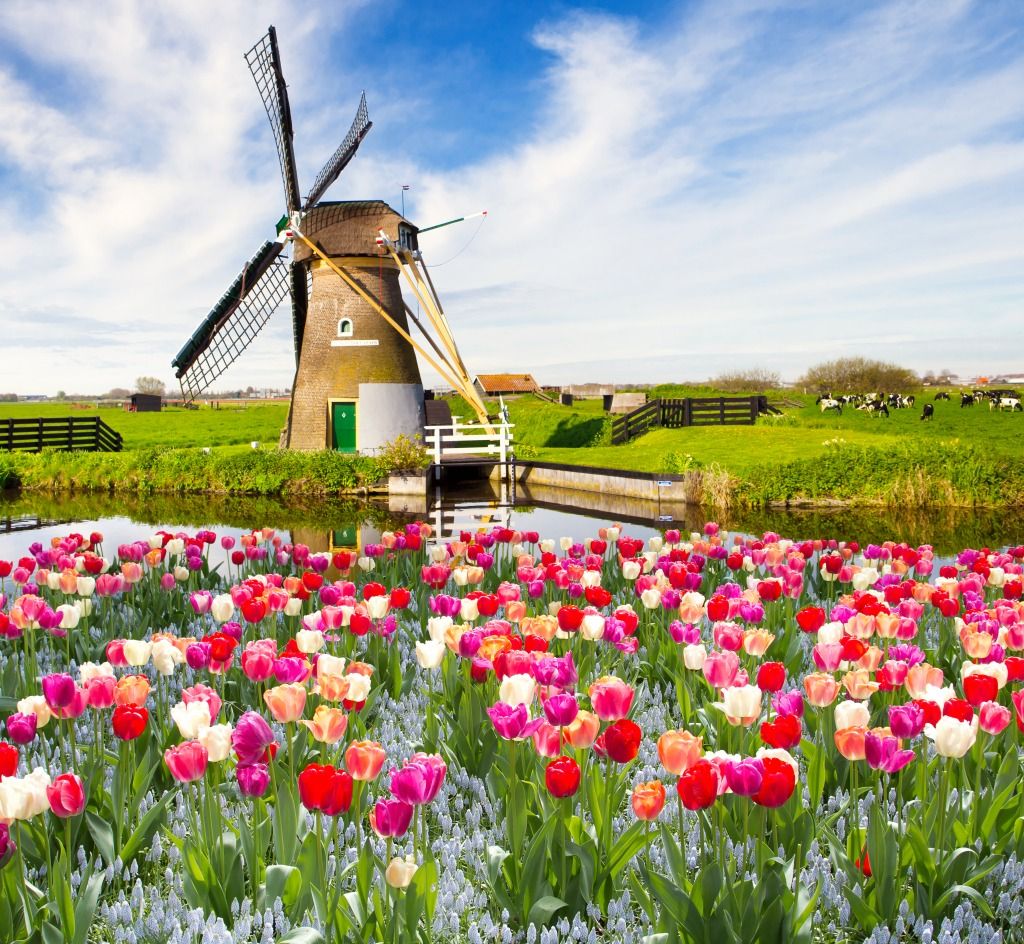 khu đồng quê Zaanse Schans