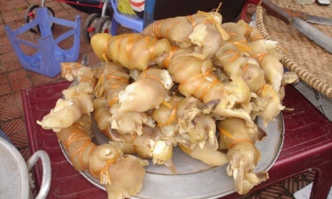 Vó bò là gì? 