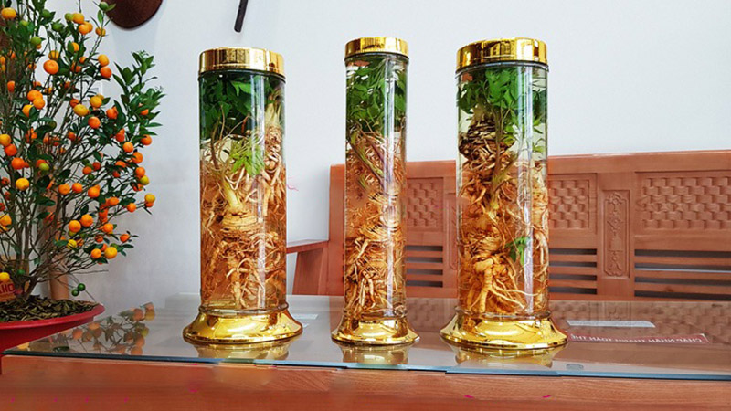 Địa chỉ bán sâm Đương Quy giá tốt