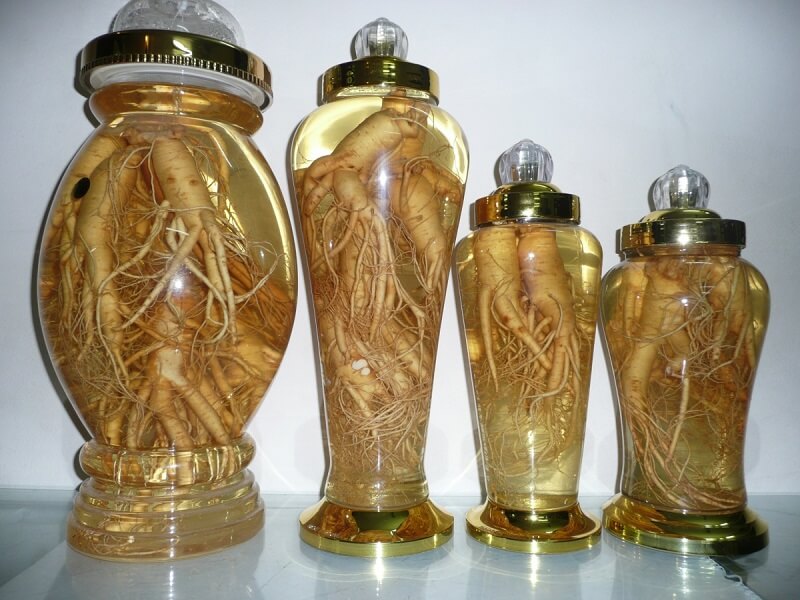 Sâm đương quy tươi ngâm rượu