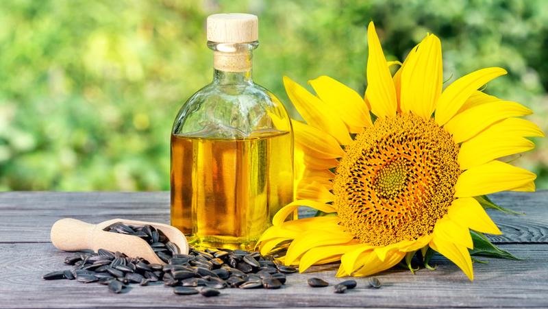 Lợi ích của dầu hướng dương