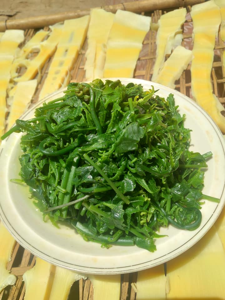 Rau Dớn luộc Rau Dớn luộc