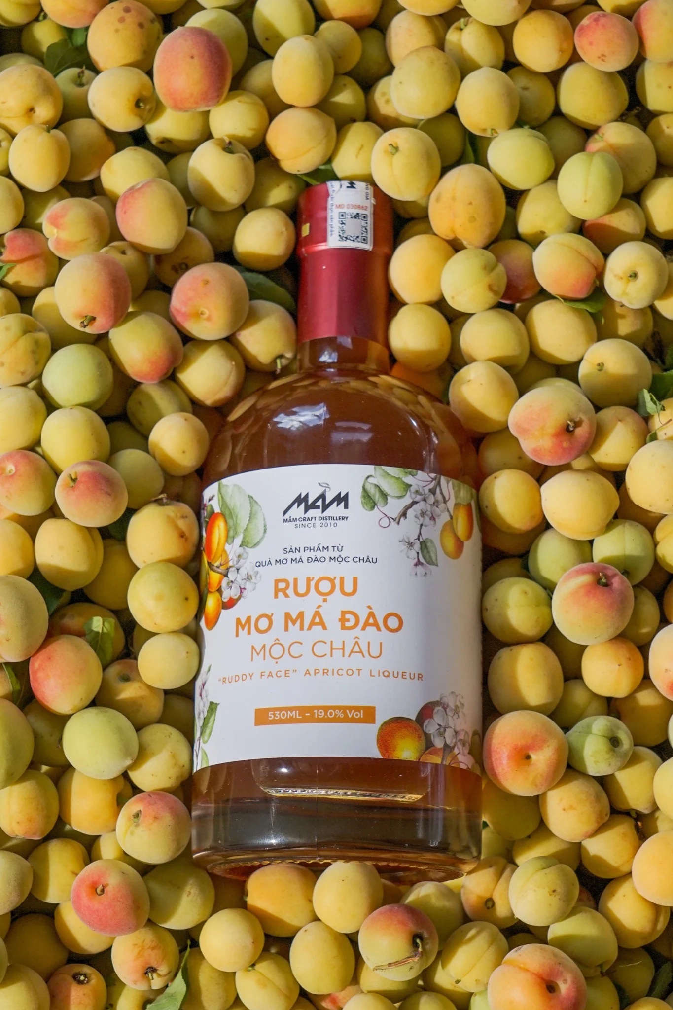 Giới thiệu về thương hiệu rượu Mầm