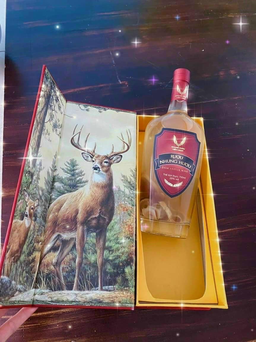Hướng dẫn sử dụng rượu ngâm nhung hươu Hà Tĩnh