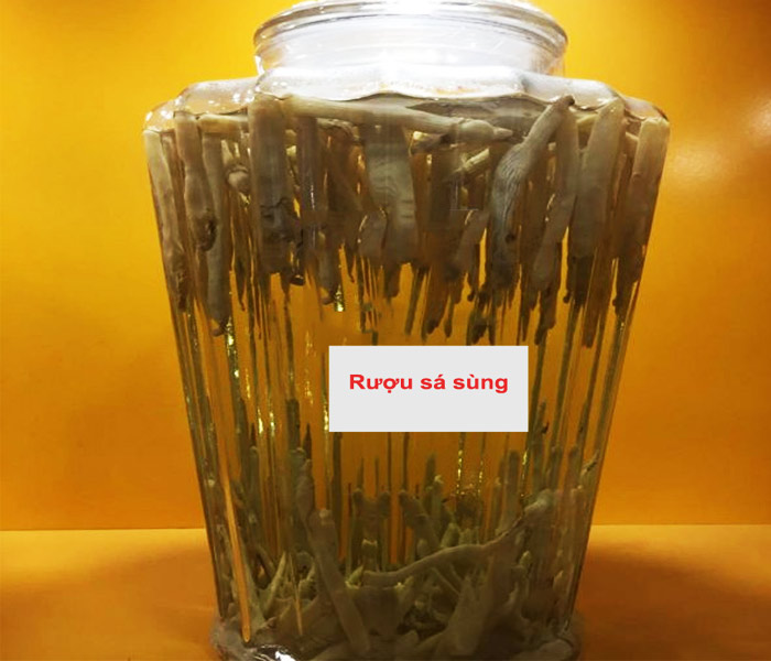 Sá sùng khô ngâm rượu