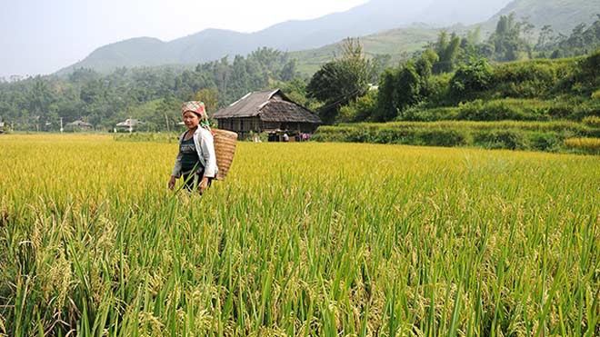 đi chơi đâu ở Yên Bái