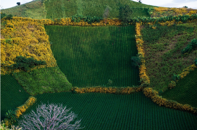 Núi lửa Chư Đăng Ya