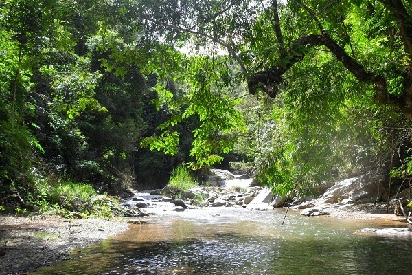 Vườn quốc gia Chư Mom Ray