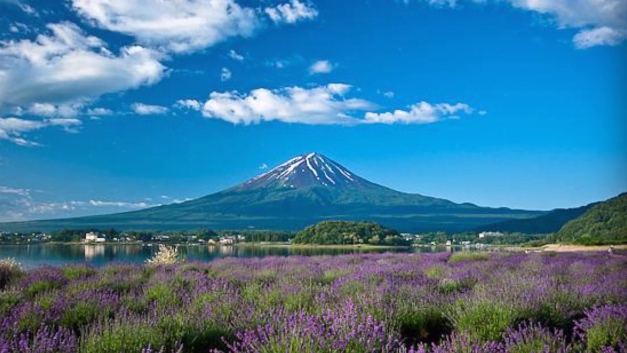 Công viên Oishi Park