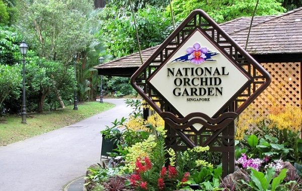 Vườn thực vật BOTANIC GARDEN