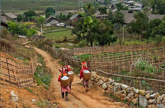 Bản Sín Chải