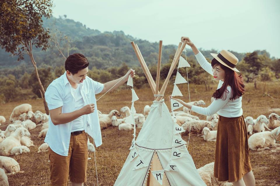 Chụp ảnh với cừu