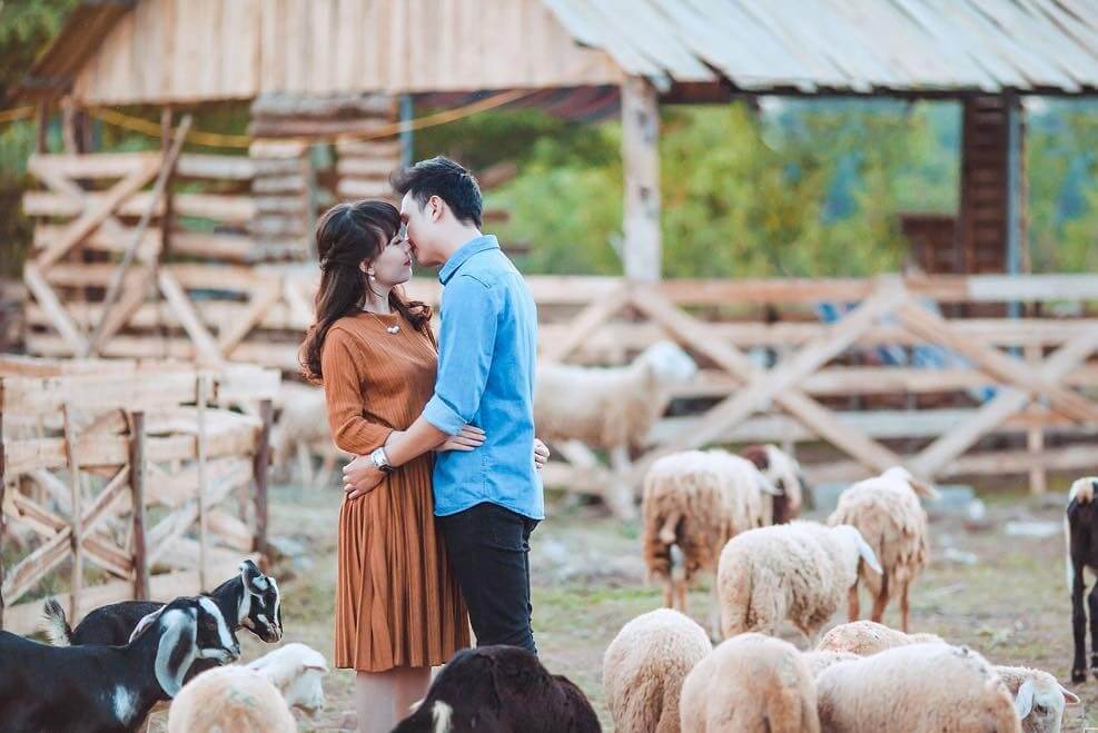 Thảo nguyên hoa Long Biên